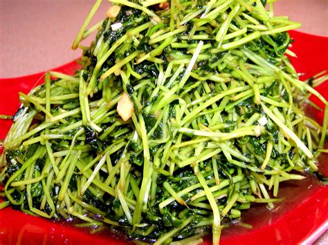 new miu recipe|stir fried pea shoots with garlic .